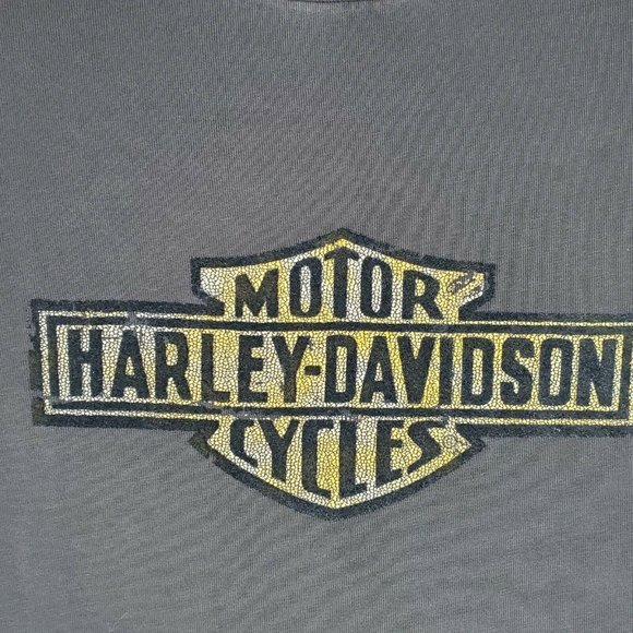 Harley Davidson Tee Knit Distressed Logo - Picture 3 of 5